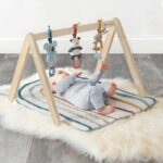 Itzy Ritzy Activity Gym