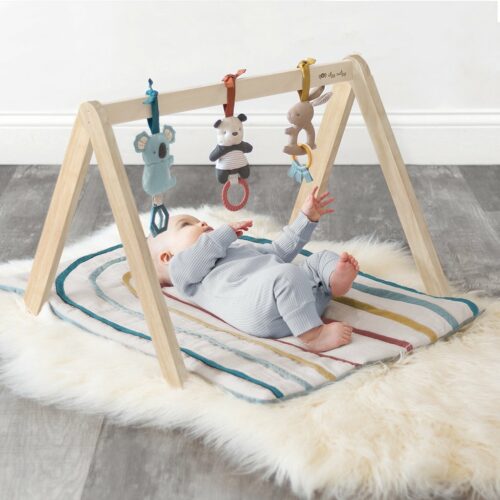 Itzy Ritzy Activity Gym